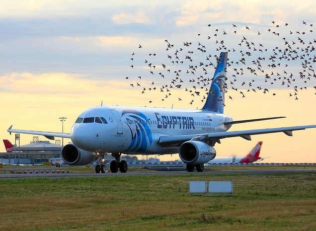 EGYPTAIR to move several flights to Terminal 2