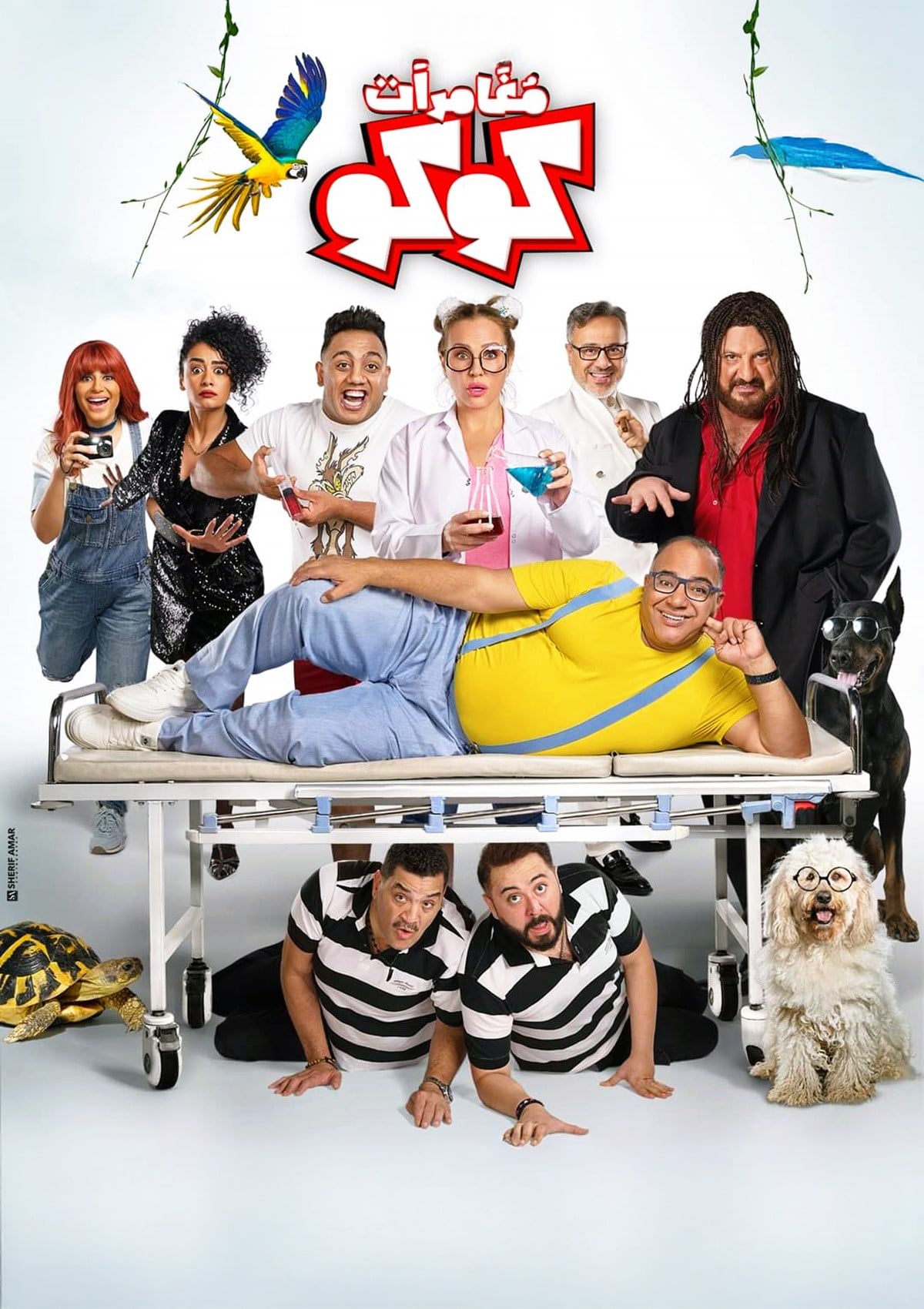 Moughamarat Koko مغامرات كوكو Moughamarat Koko مغامرات كوكو