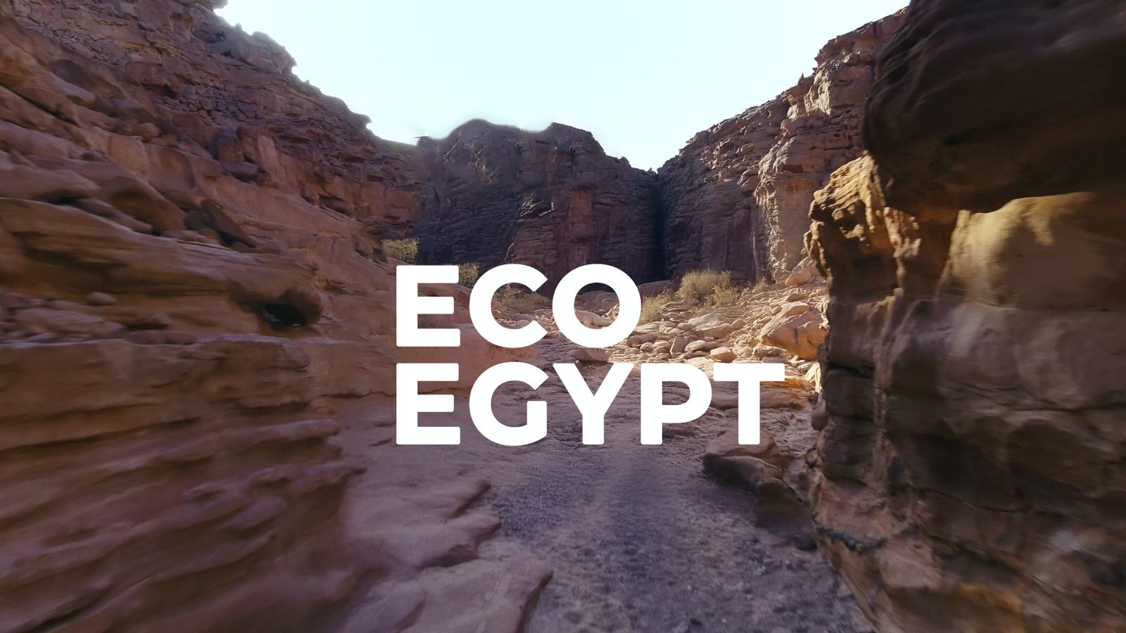 Eco Egypt Eco Egypt