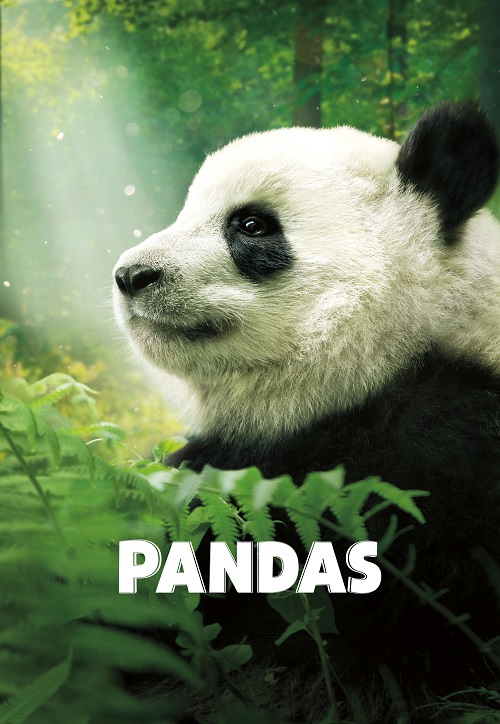 Pandas