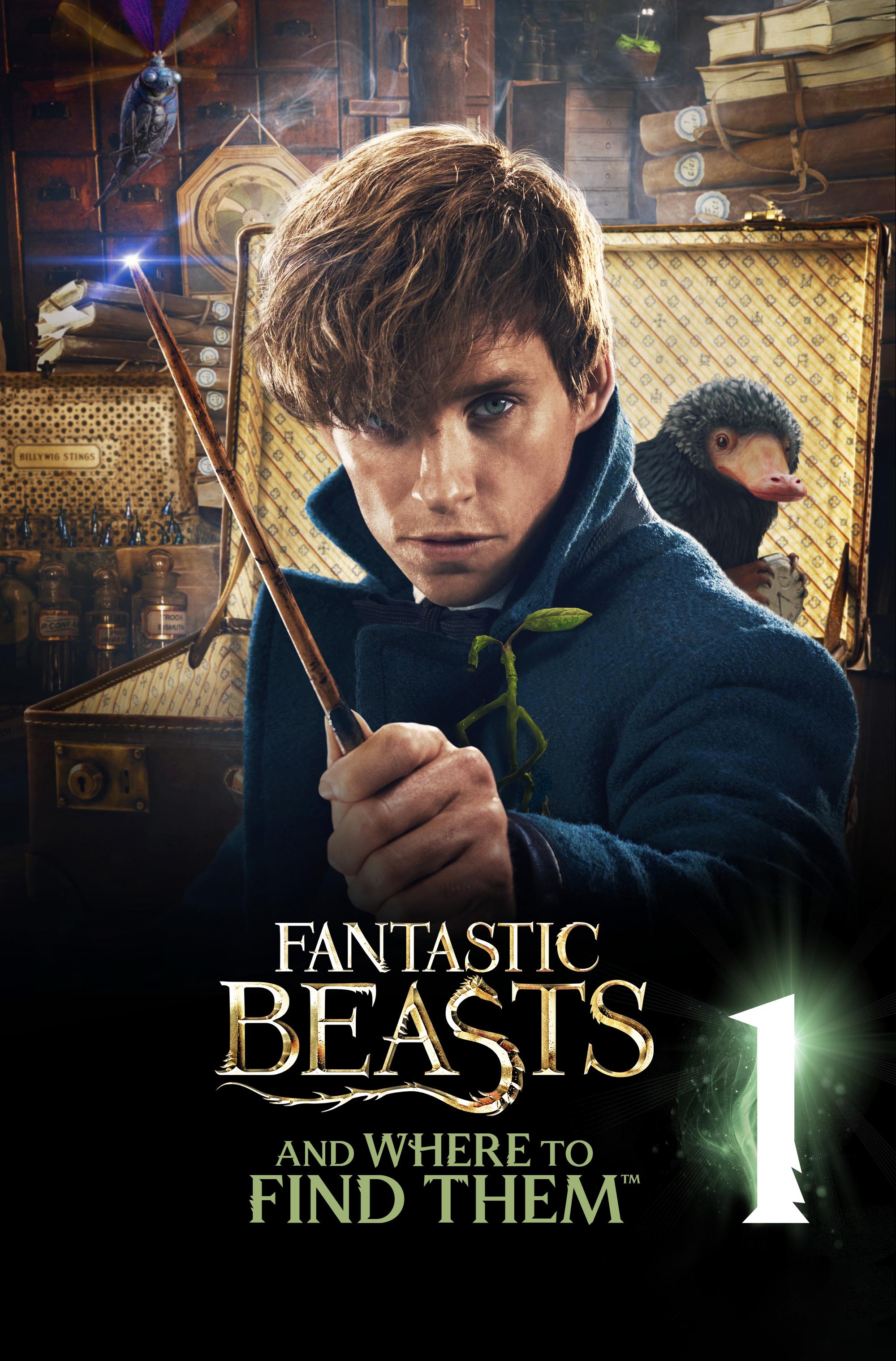 Fantastic Beasts and Where to Find Them Fantastic Beasts and Where to Find Them