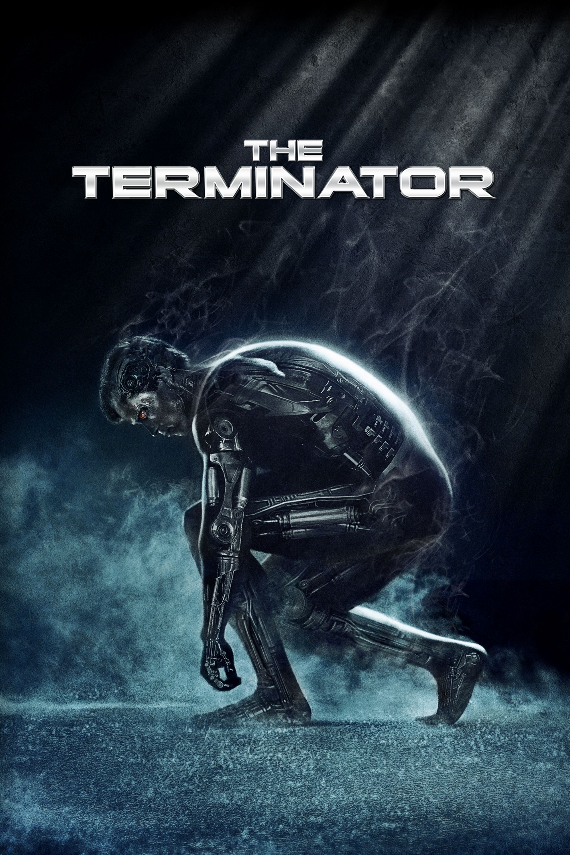The Terminator The Terminator