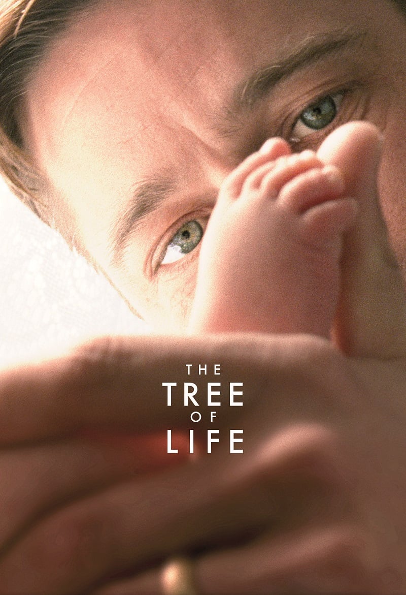 The Tree of Life