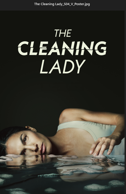 The Cleaning Lady